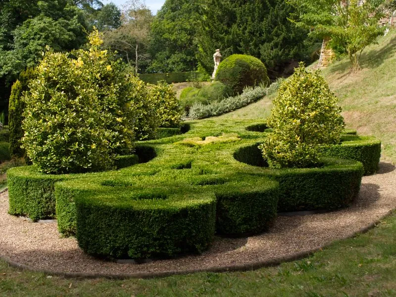 Voorbeeld van een tuinproject