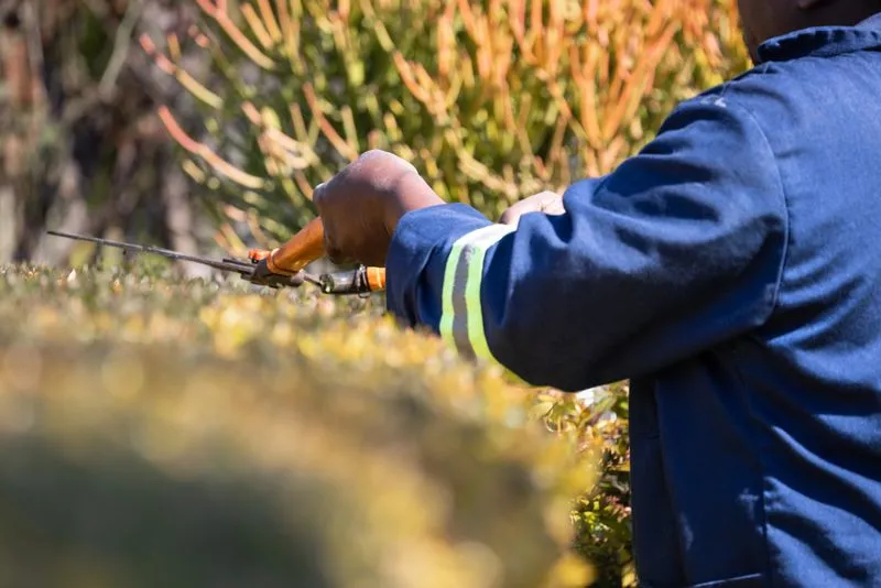 Voorbeeld van een tuinproject