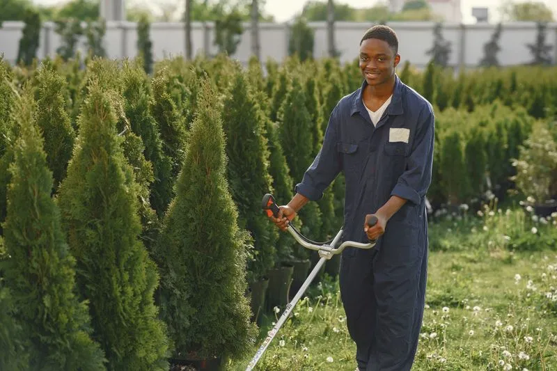 Voorbeeld van een tuinproject